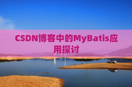 CSDN博客中的MyBatis应用探讨
