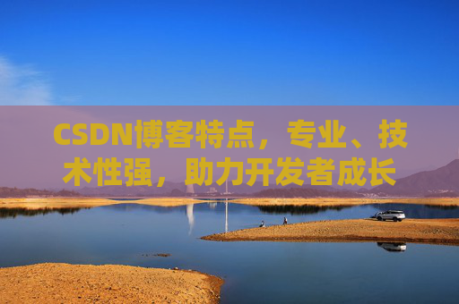CSDN博客特点，专业、技术性强，助力开发者成长